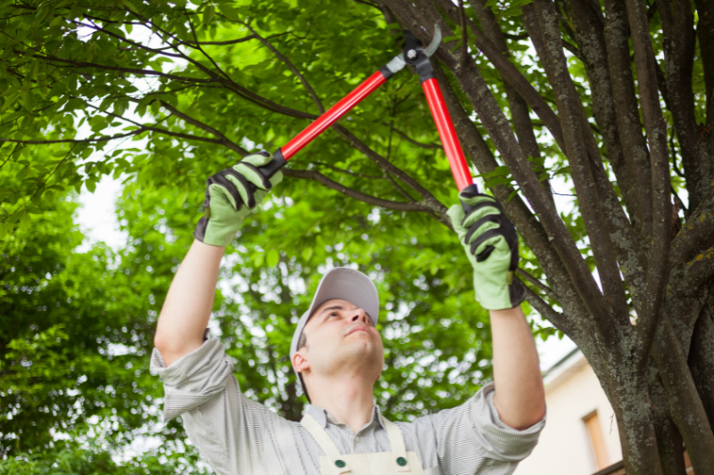 Unsere Gartenpflege umfasst professionelle Dienstleistungen zur Gestaltung und Pflege von Außenanlagen, damit Ihr Garten stets gepflegt und ansprechend aussieht.