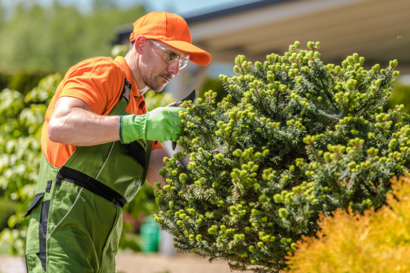 Ullrich Services bietet professionelle Gartenpflege für eine gepflegte und ansprechende Außenanlage