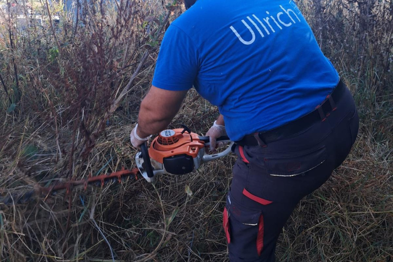 Ullrich Services – fachgerechte Gartenpflege in Karlsruhe für gepflegte Grünanlagen das ganze Jahr über.