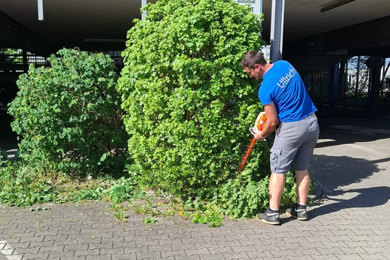 Ullrich Services – fachgerechte Gartenpflege in Böblingen und Umgebung für gepflegte Grünanlagen rund ums Jahr.