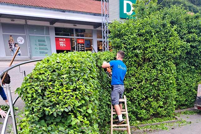 Pflege von Außenbereichen und Grünanlagen von Reinigungsfirma Ullrich Services für top Gebäudeservice