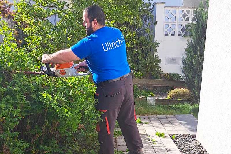 Außenanlagenpflege und Grünanlagenpflege für Immobilien in Bondorf von Firma Ullrich
