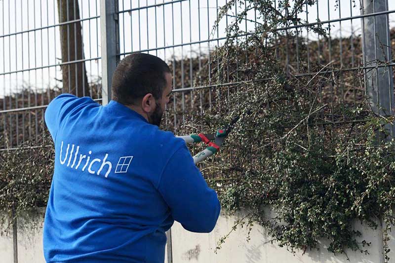 Außenanlagenpflege und Grünpflege von Ullrich Services