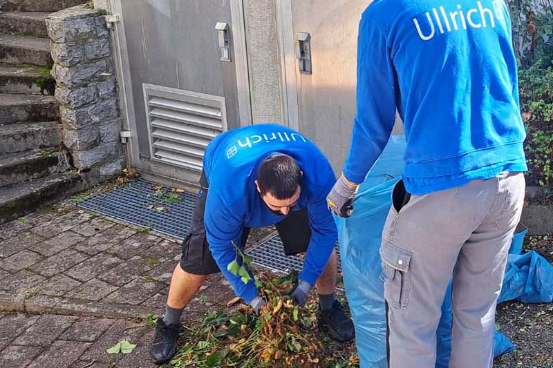Ihre zuverlässige Gebäudereinigungsfirma für Ehningen jetzt anfragen
