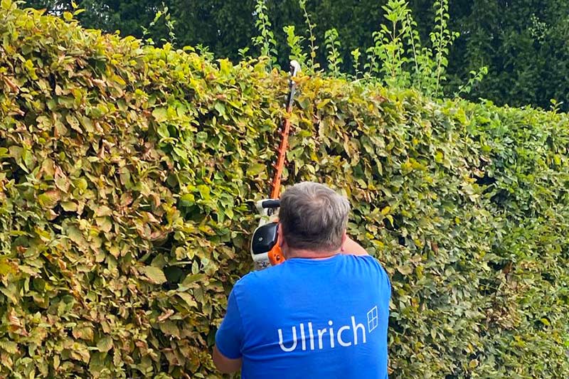 Professionelle Außenanlagenpflege und Grünpflege mit Gartenbau von Firma Ullrich