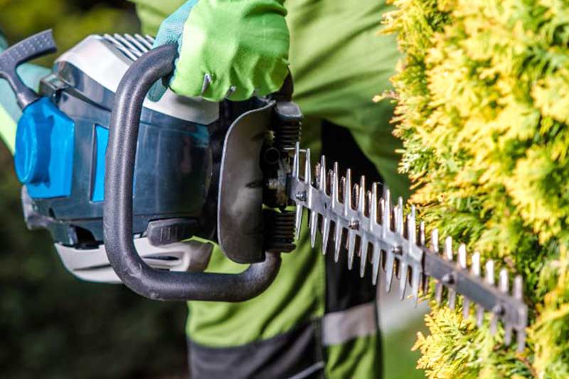 Professionelle Außenanlangepflege und Gartenpflege von Firma Ullrich in Kusterdingen